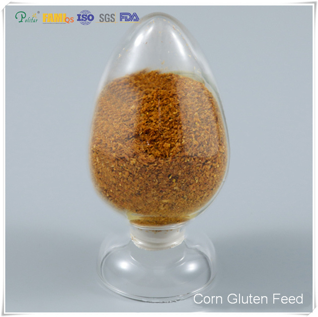 Wysokobiałkowy granulat paszowy z glutenem kukurydzianym dla bydła