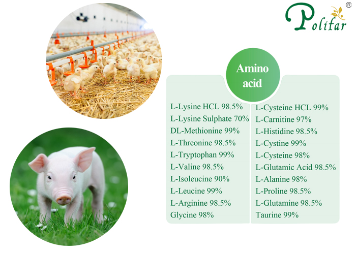 Jakie są rodzaje aminokwasów zawartych w dodatkach paszowych?-Polifar