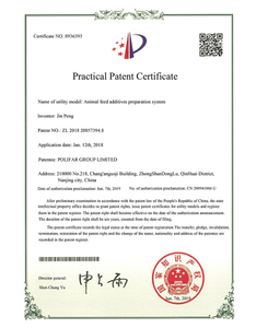  Praktyczny certyfikat patentowy 