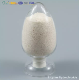 L Hydrochloride Lysine.