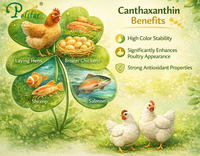 //5krorwxhomkorik.leadongcdn.com/cloud/lnBqnKmmSRnlpmqjkpkm/canthaxanthin-benefits.png