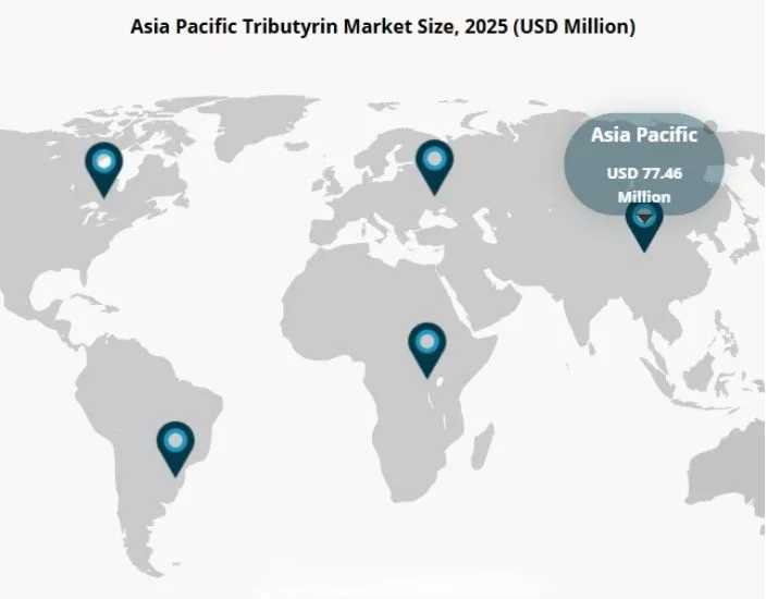 Jaka jest rola tributyryny w paszy dla zwierząt?