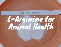 //5krorwxhomkorik.leadongcdn.com/cloud/loBqnKmmSRqkoqnplqkm/L-Arginine-for-Animals.jpg