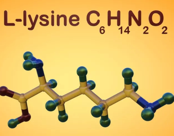 lysine.jpg