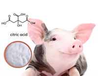 //5krorwxhomkorik.leadongcdn.com/cloud/lrBqnKmmSRklljlqoikp/citric-acid-for-pigs.jpg