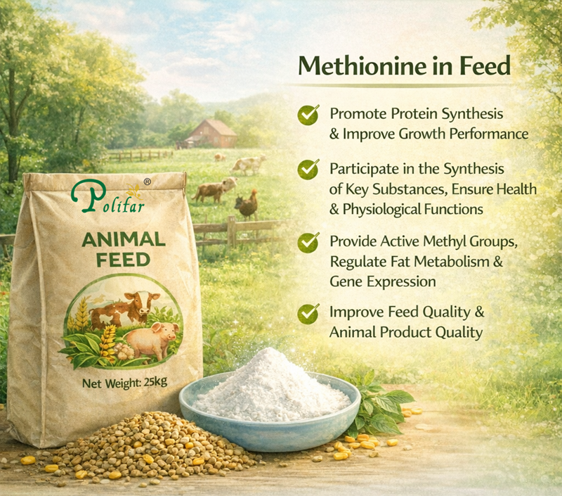 Skuteczność i działanie metioniny