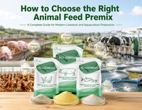 //5krorwxhomkorik.leadongcdn.com/cloud/pmBqnKmmSRqlinmlmqkm/How-to-Choose-the-Right-Animal-Feed-Premix.jpg